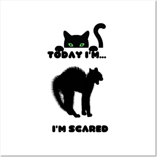 Cat feel scared Posters and Art